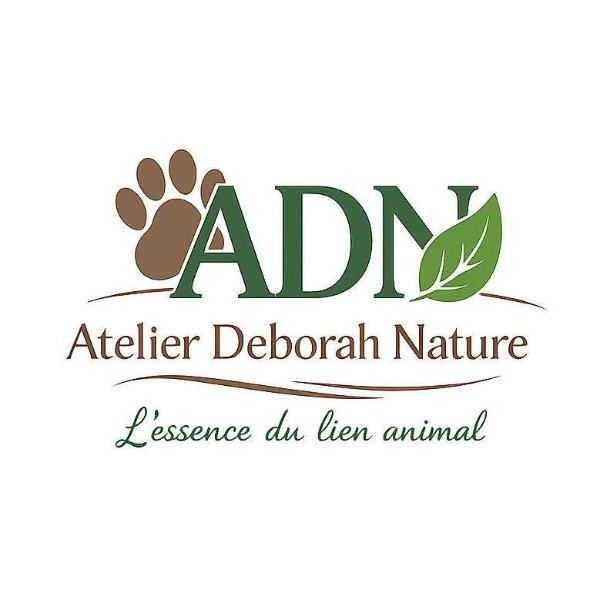 Atelier Deborah Nature 