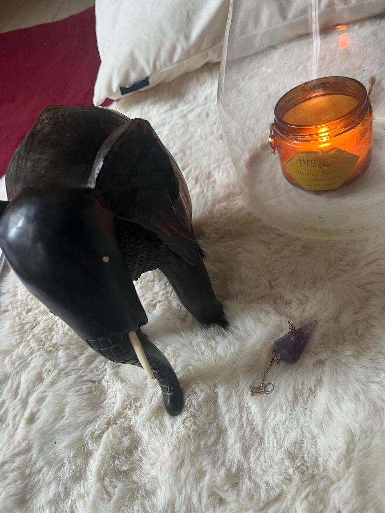 photo seance Salome MARTINETTI