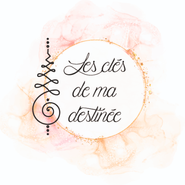 Les clés de ma destinée - Anne Schuhler 