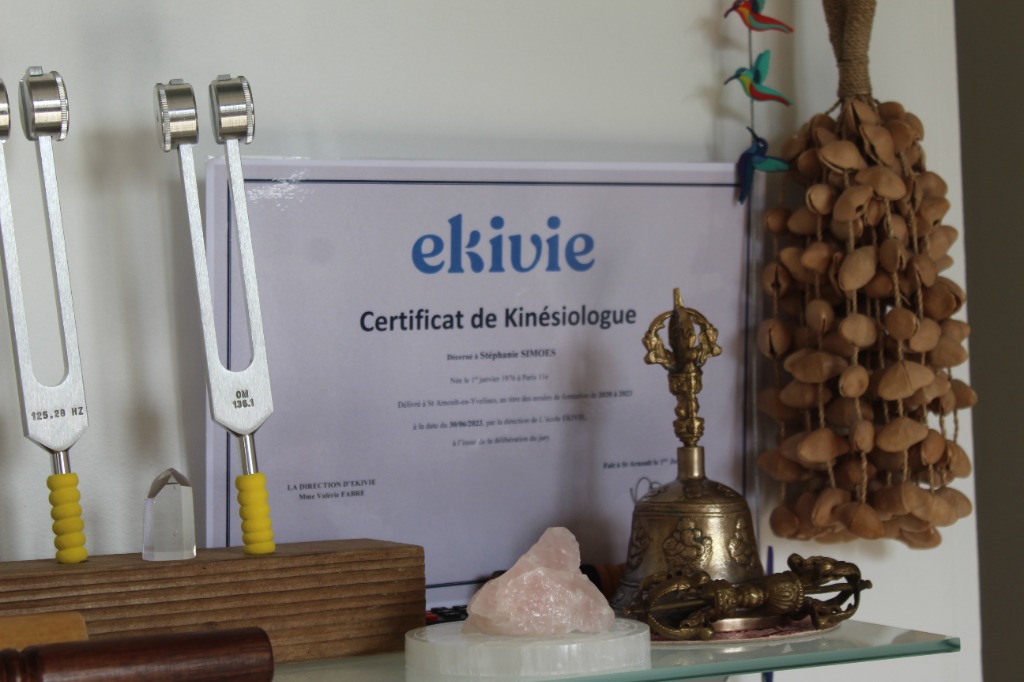 photo diplome STÉPHANIE DE JESUS SIMOES