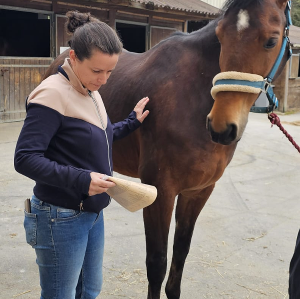 Carine Le Scour kinésiologie Animale 