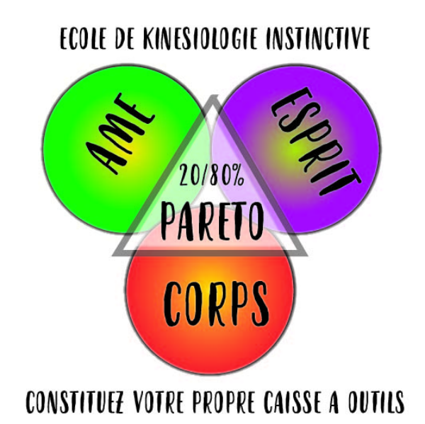 ÉCOLE DE KINESIOLOGIE INSTINCTIVE 