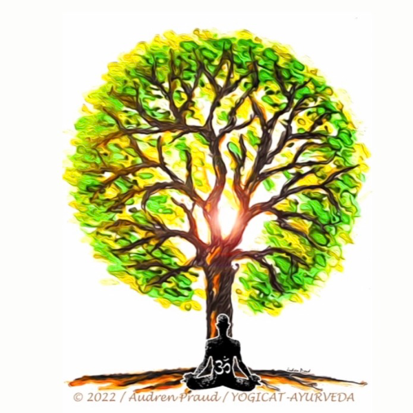 Yogicat/ayurveda