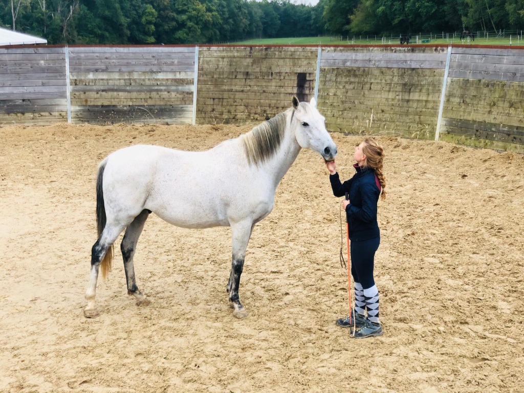 photo activite Equi Human