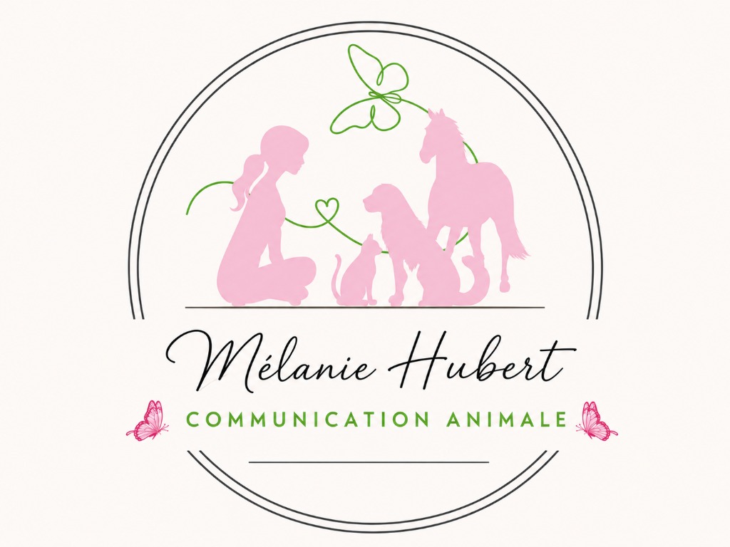 photo activite Mélanie Communication animale 