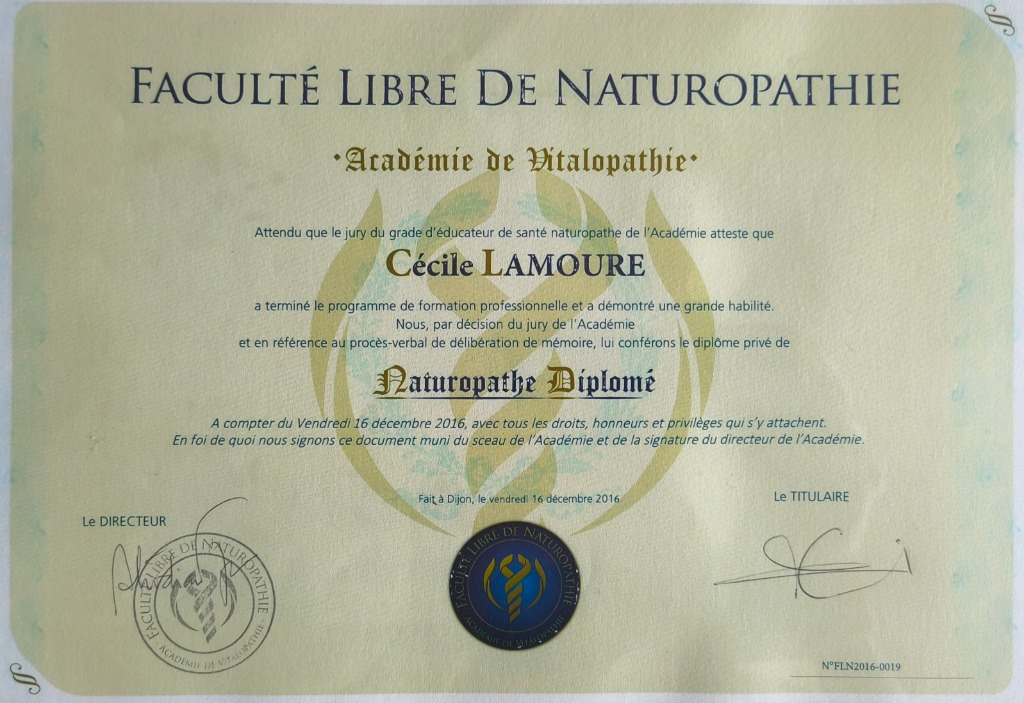photo activite Cécile Lamoure