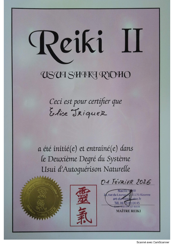 photo diplome Kintsugi Cabinet Reiki 