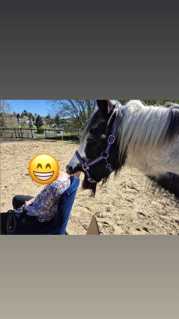 photo activite Yentl Gouguenheim. Equi libre