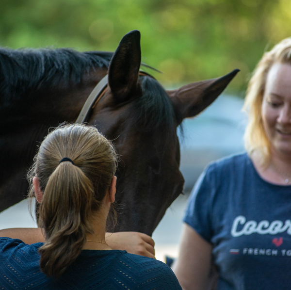 Secret Therapy - Equitherapie 