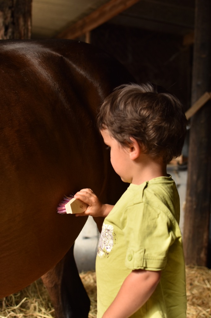 photo seance Secret Therapy - Equitherapie 