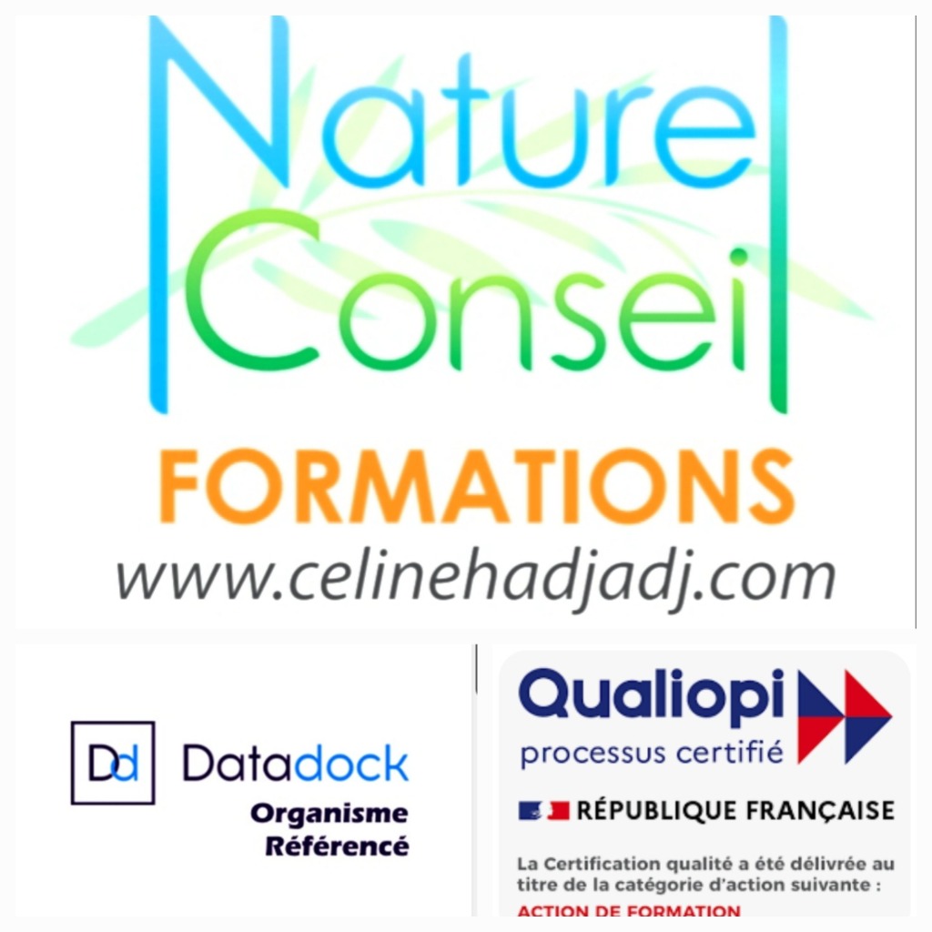 photo diplome Céline Hadjadj