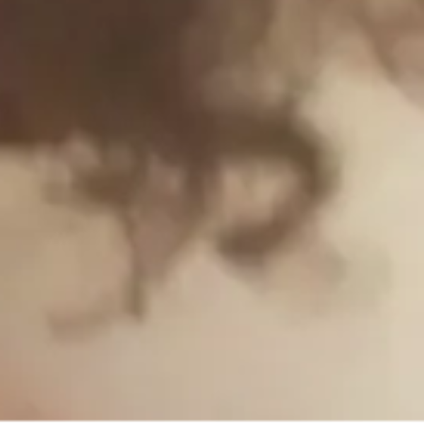 Isabelle Campagne ( Lauret )