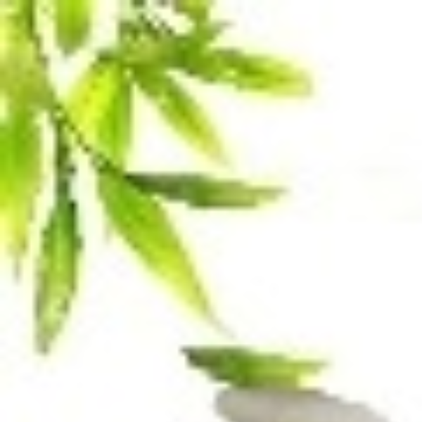 Fabrice LE PORT – Sophrologie & Hypnose Rennes