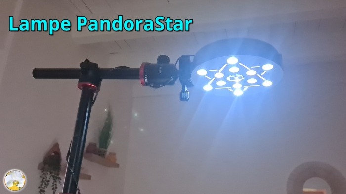 photo activite Karine LÉPOUCHARD – INFLORESSENS