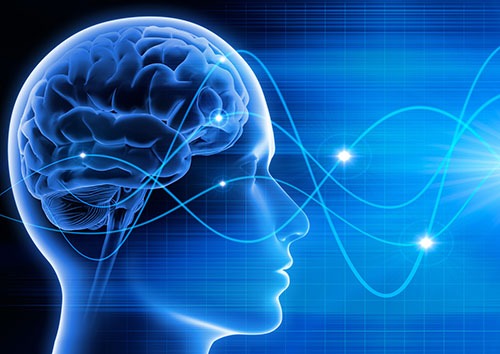 photo activite Annick BRICCHI