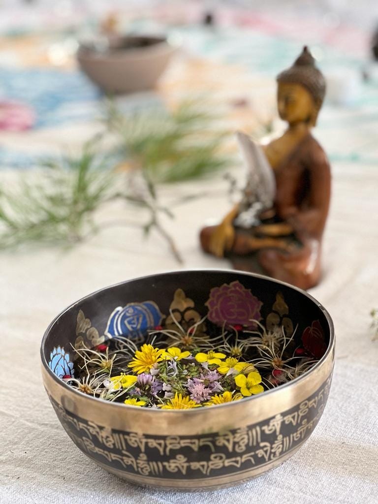 photo cabinet Cap-Harmonie