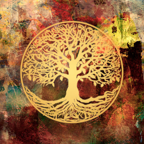 photo portrait Anne Lebrun