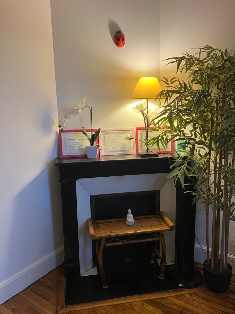 photo diplome BRUNELET Agnès