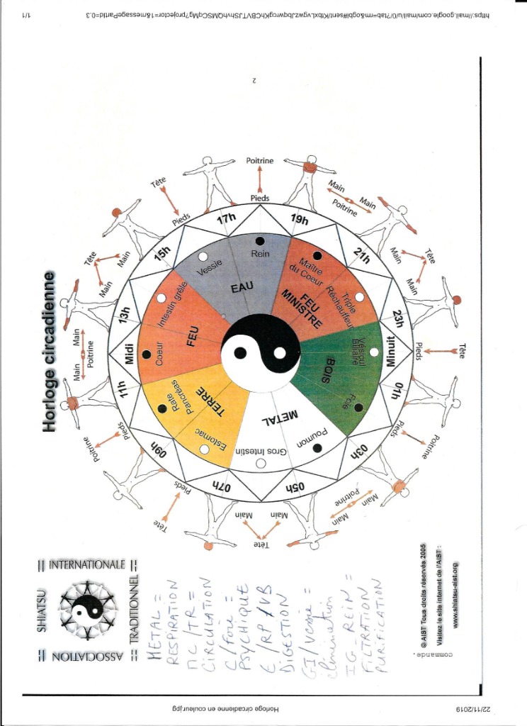 photo activite Ecole lyonnaise de Shiatsu Moulines Muriel