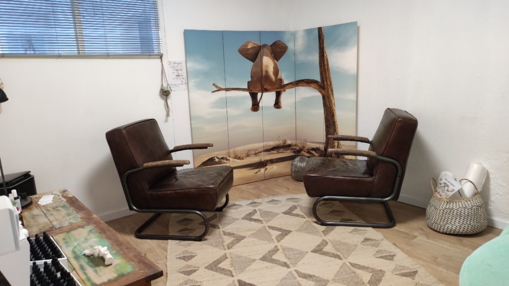 photo cabinet PIERGIOVANNI SANDRA