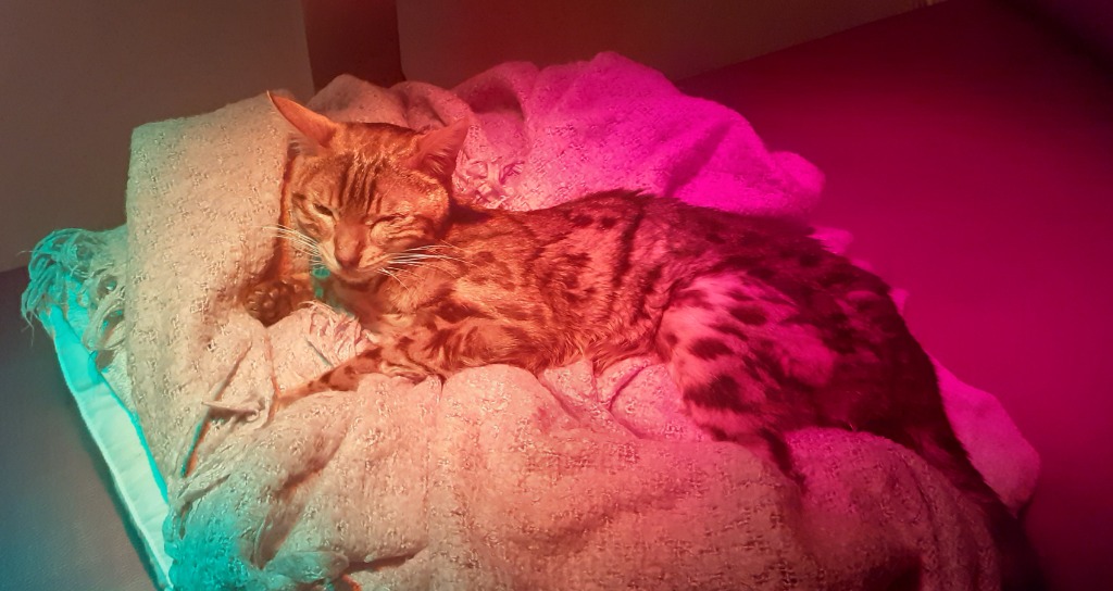 photo activite PERRIN SOPHIE