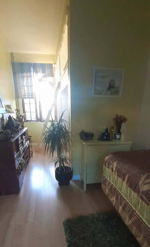 photo cabinet PERRIN SOPHIE