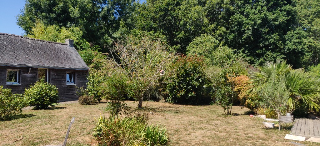 photo cabinet Bosc Martine