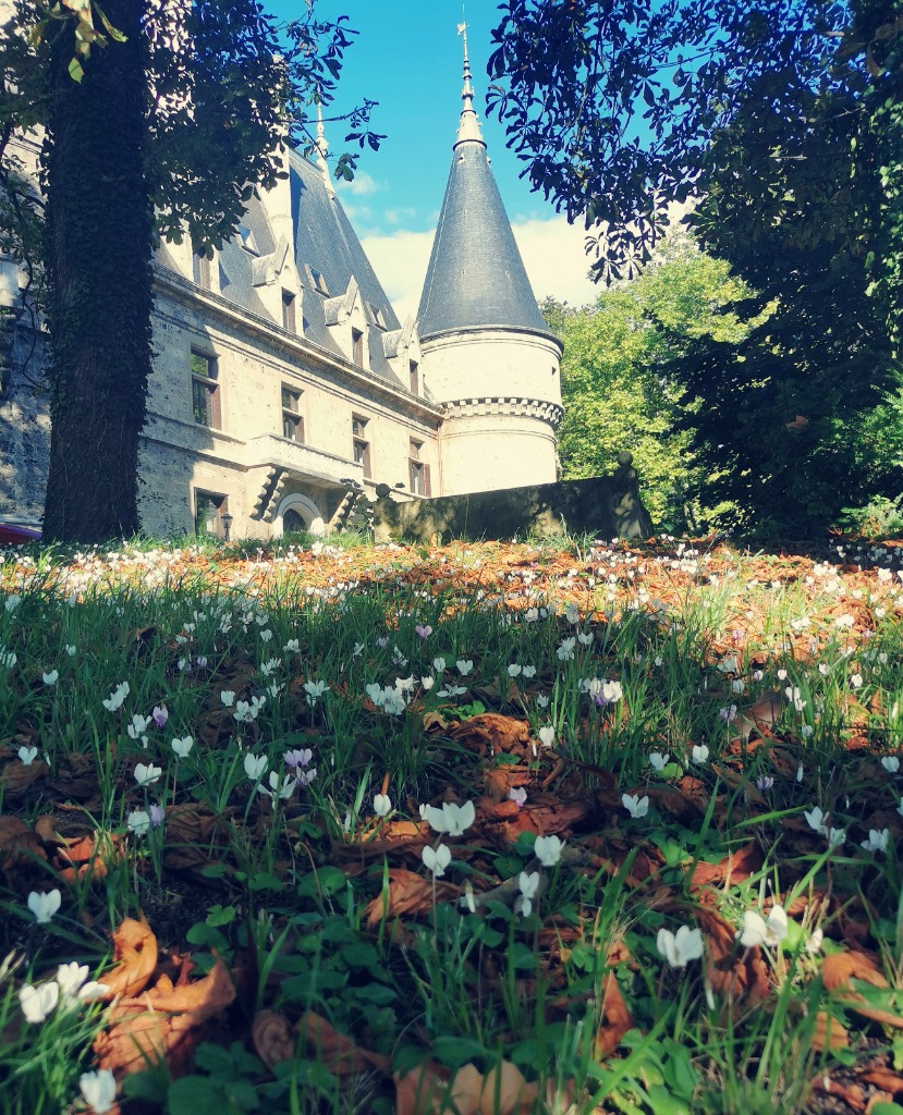 photo cabinet Nathalie Fournier