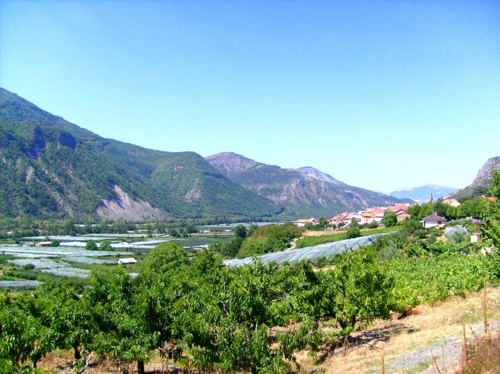 photo cabinet Myriam COLLODET