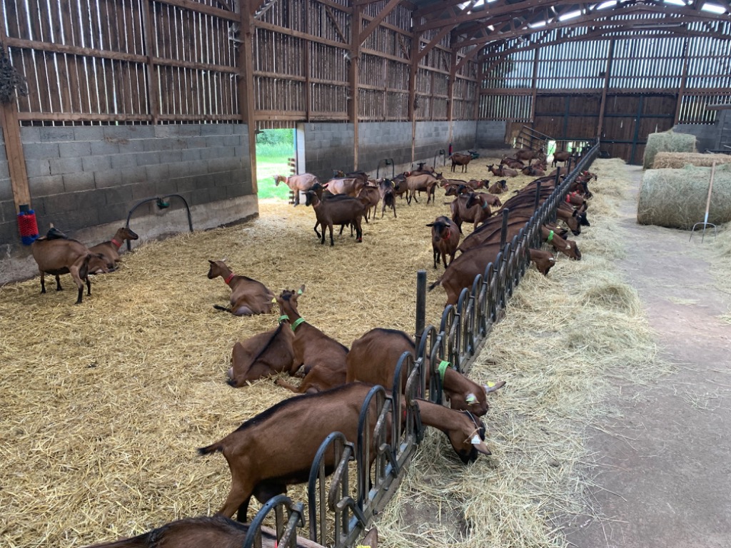 photo activite Stéphane RIVIERE