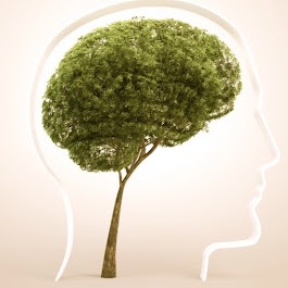 photo activite Cabinet Apaisia 