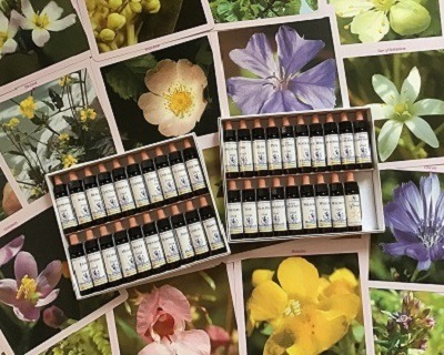 photo activite Shirley Funel