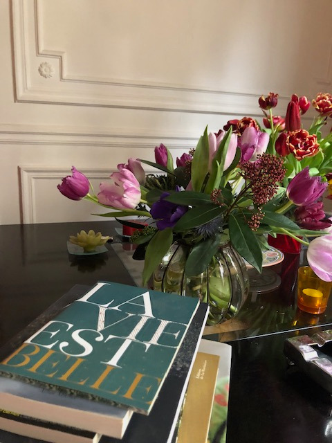 photo cabinet Anita DEVILLETTE