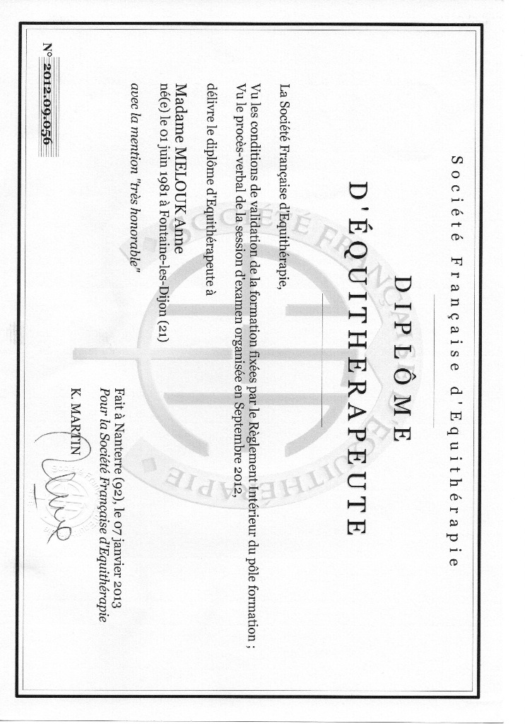 photo diplome MELOUK Anne