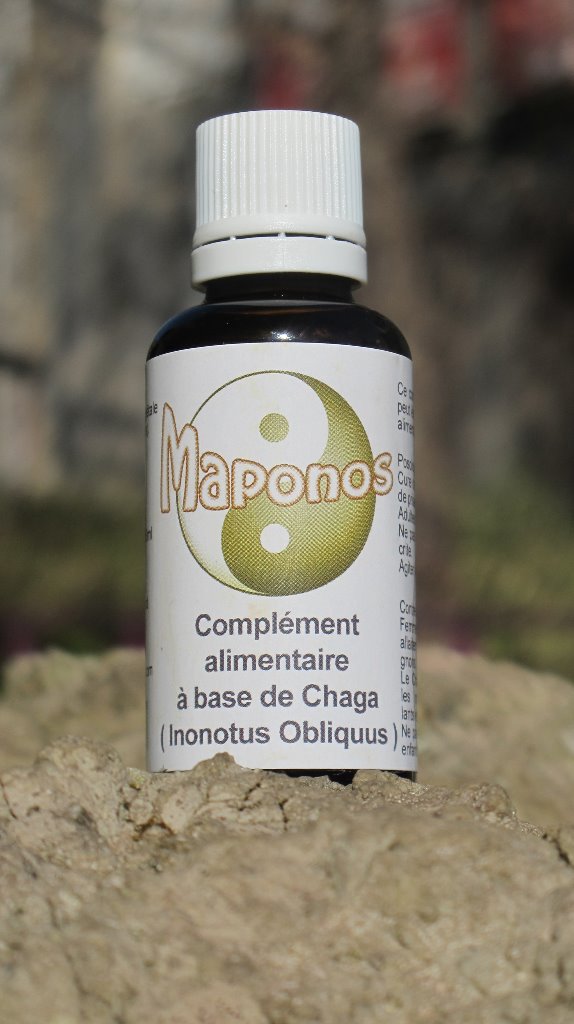 photo activite BADIOU Lionel