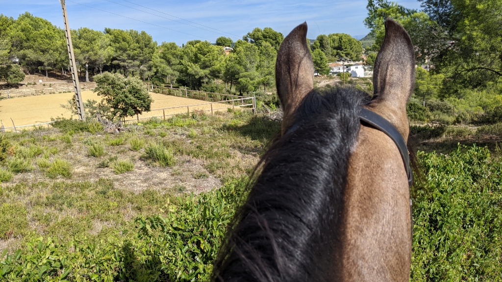 photo activite Laurence Oyant
