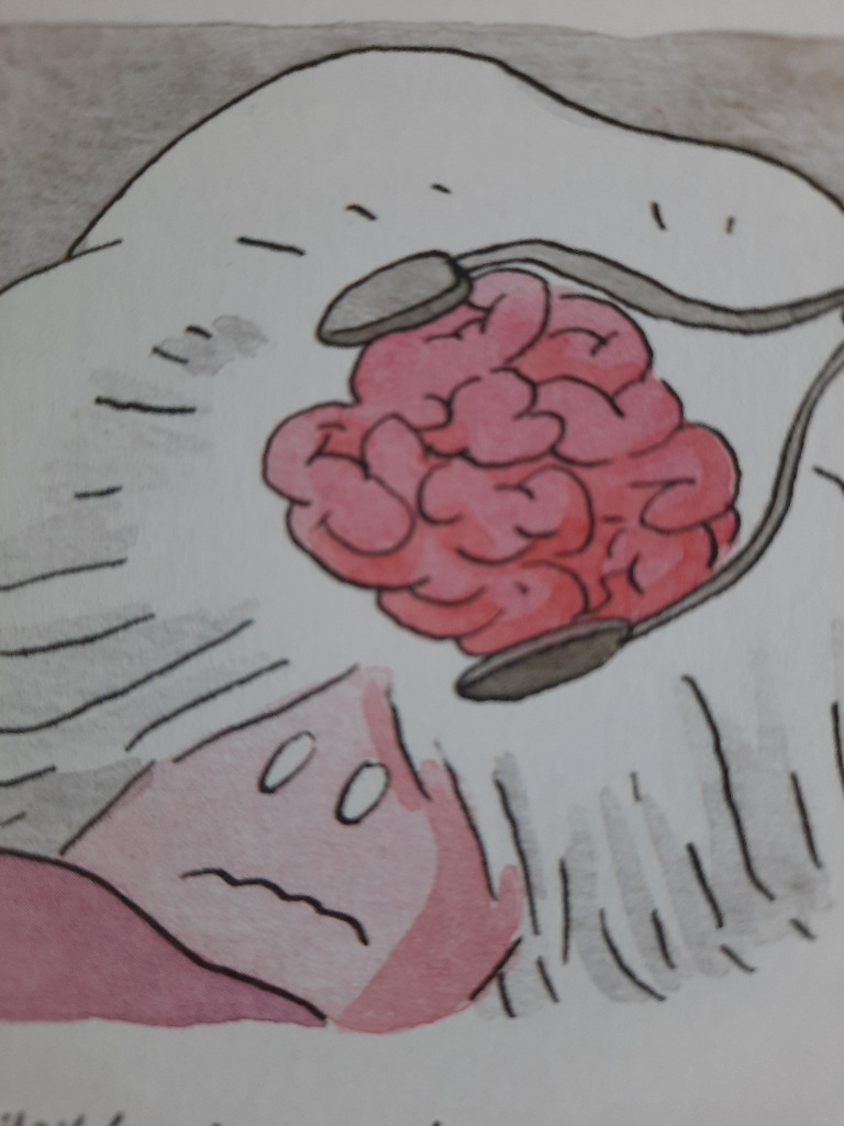 photo activite Laetitia Sanchez