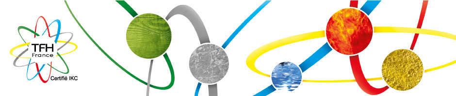 photo cabinet Laetitia Sanchez