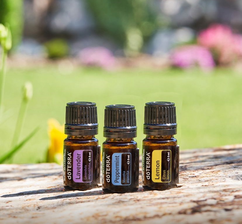 photo activite Laurie Avalis Sophrologue/Aromathérapie