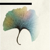 photo activite Marie-Paule LANGLOIS