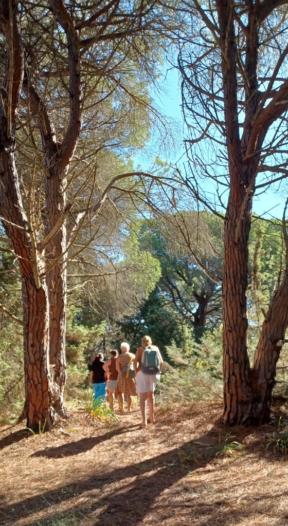 photo seance Isabelle Savadoux