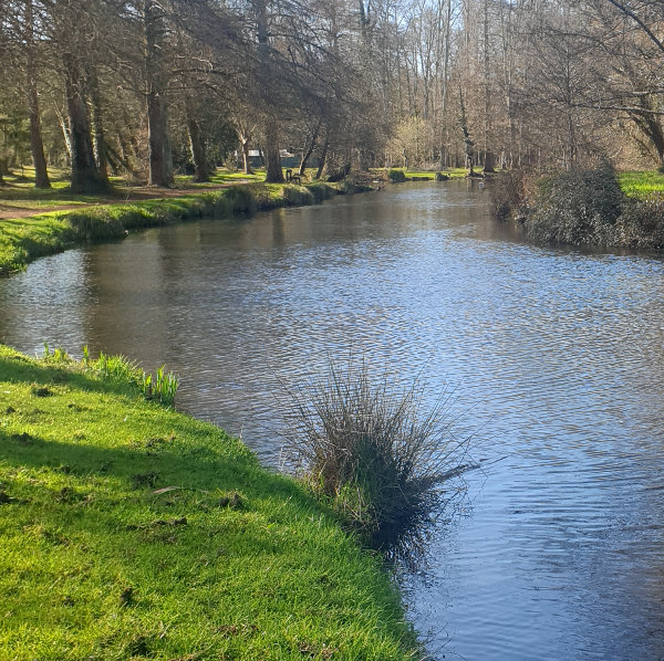 Anne-Laure Mélé-Brémont 
