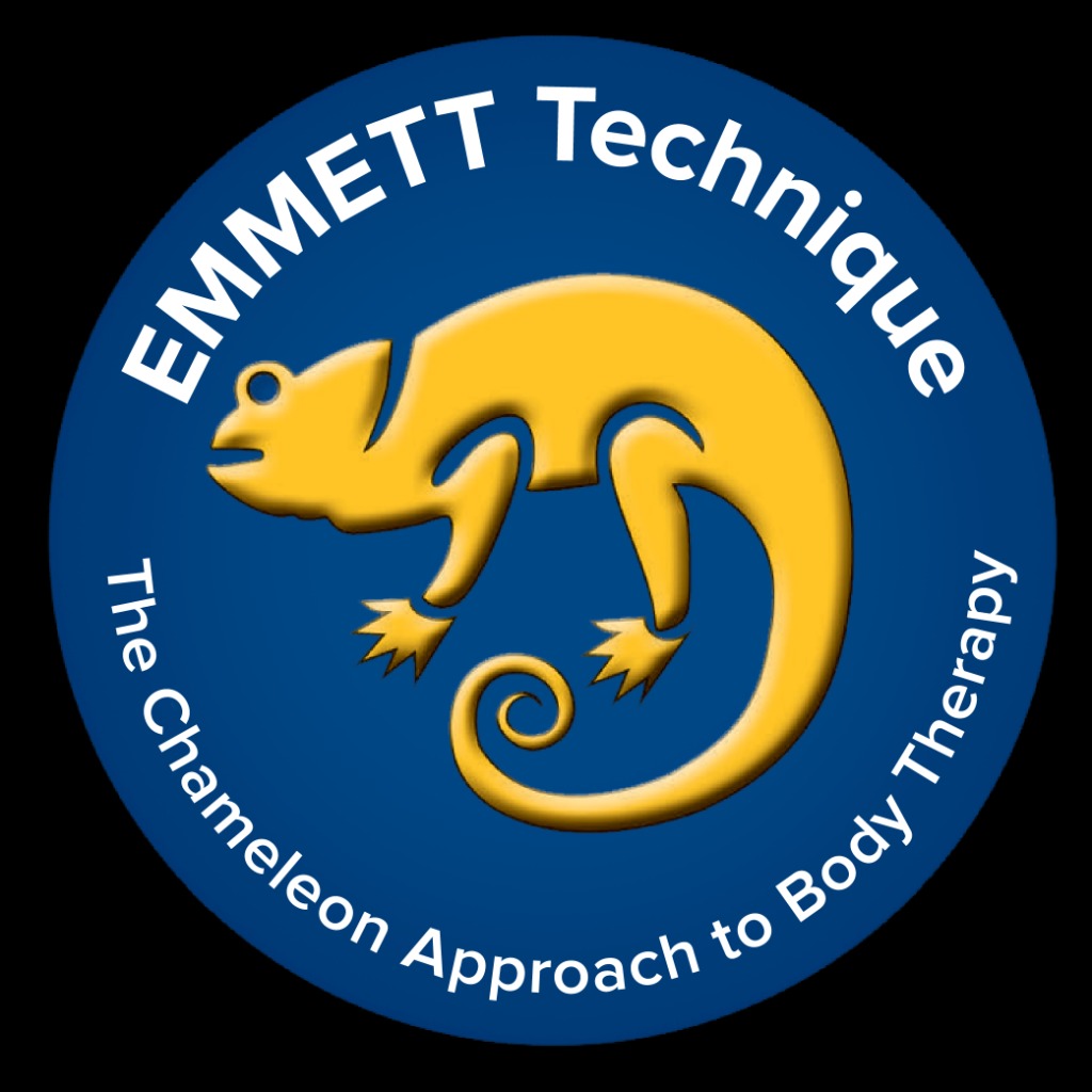 photo cabinet Anne-Laure Mélé-Brémont 