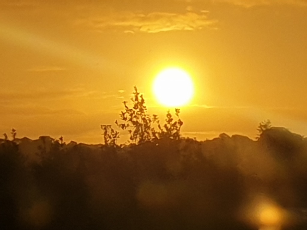 photo portrait Anne-Laure Mélé-Brémont 