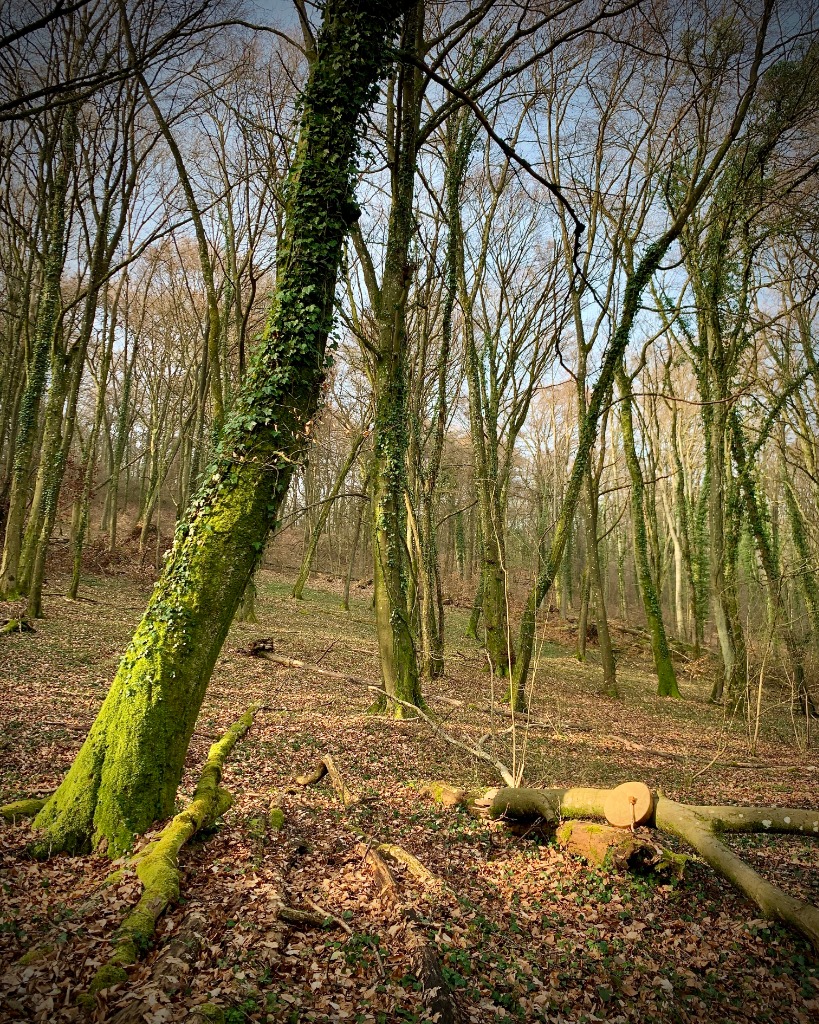 photo activite Les Mondes Subtils