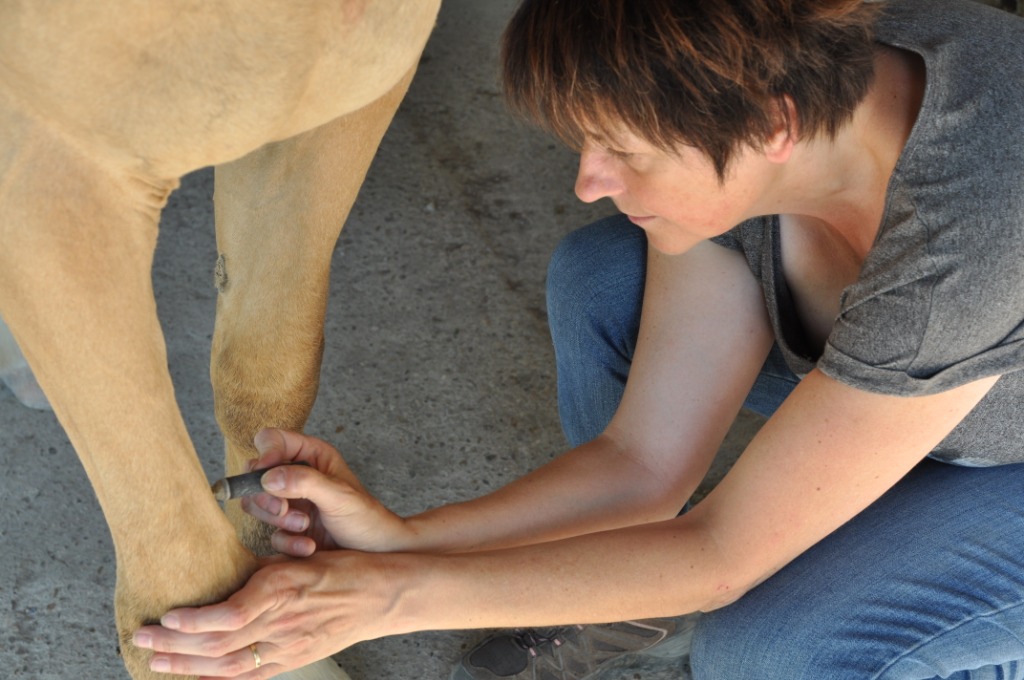 photo seance HILAIRE NATHALIE