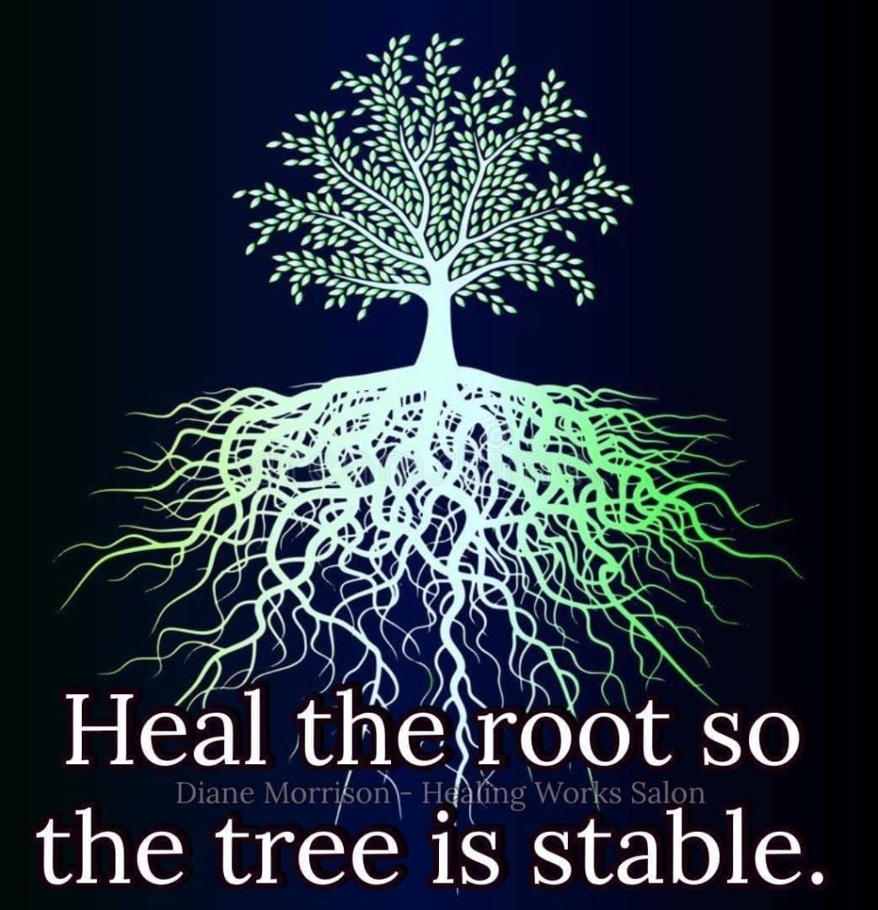 photo activite Annabelle Caron