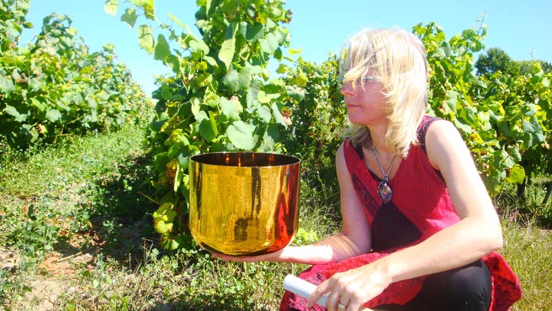 photo diplome Isabelle Géry-Haugmard