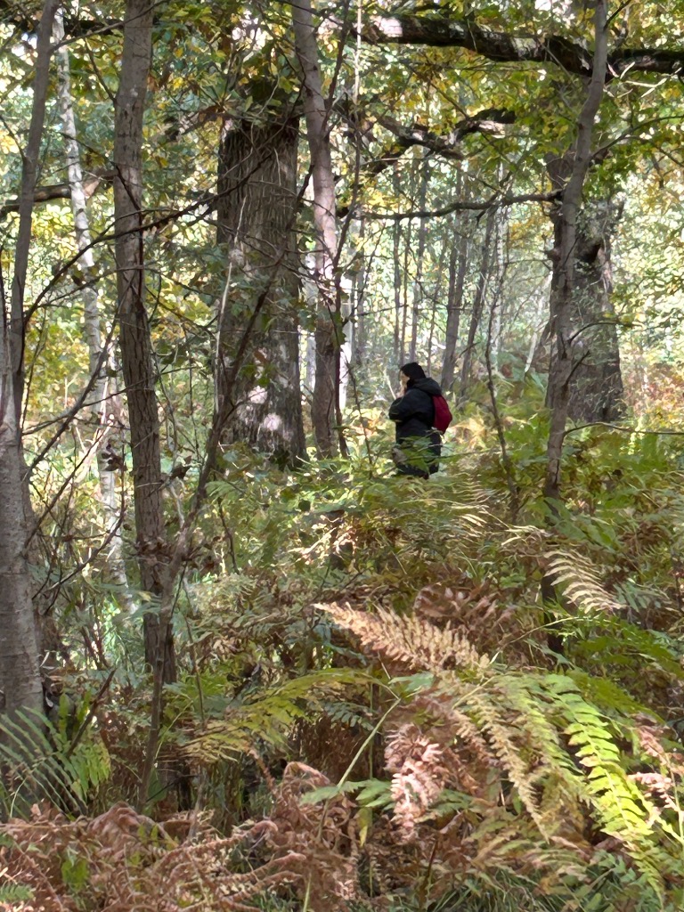 photo activite Caroline Marjot