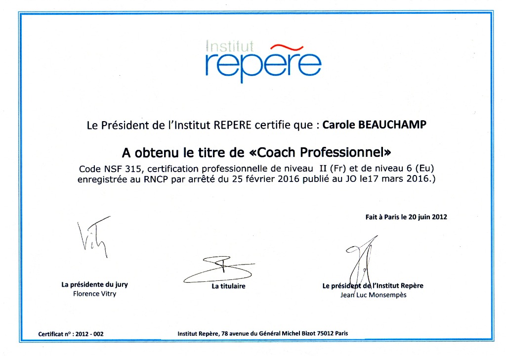 photo activite Carole BEAUCHAMP / Réveillance